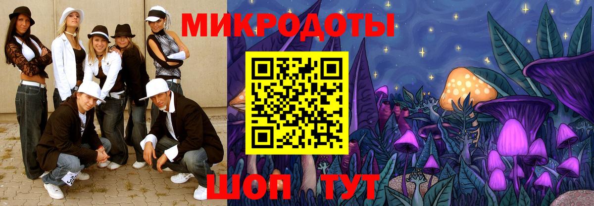 Галлюциногенные грибы Cubensis Касимов
