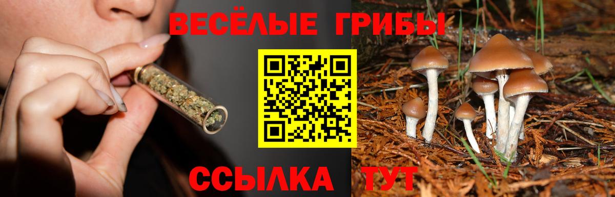 купить наркотики цена  Псилоцибиновые грибы Psilocybe  Вход с VPN  Псилоцибиновые грибы мухоморы  Касимов 